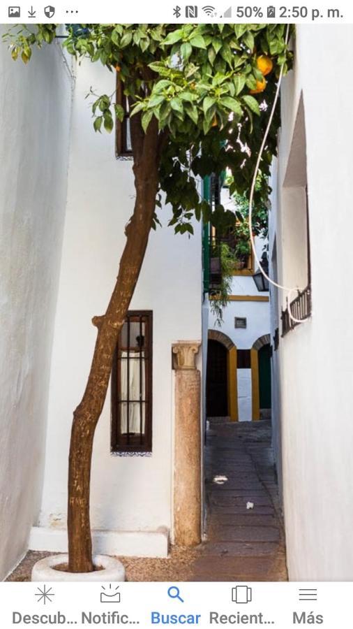 Centro-Mezquita 4 A 8 Huespedes Apartment Cordoba Exterior photo